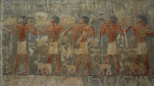نقوش مصرية قديمة لخيرات زراعية ومجموعة من العمال