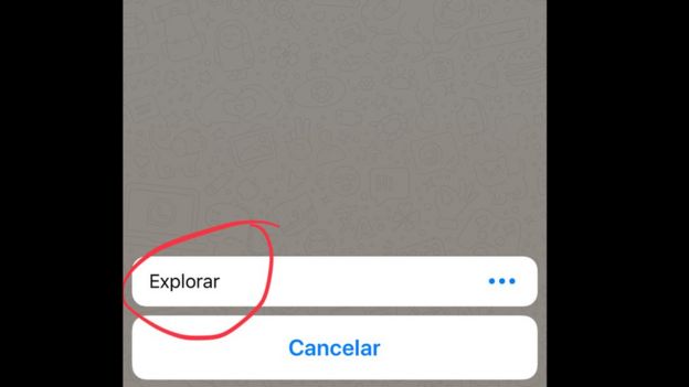 Explorar en Whatsapp