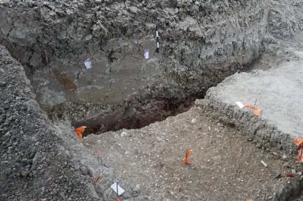 O 'paraíso' pré-histórico revelado por arqueólogos perto de uma das estradas mais movimentadas de Israel 99505297 841a5382 3385 4e61 a5c1 c41291e99955 - O 'paraíso' pré-histórico revelado por arqueólogos perto de uma das estradas mais movimentadas de Israel