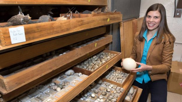 Mary Caswell Stoddard