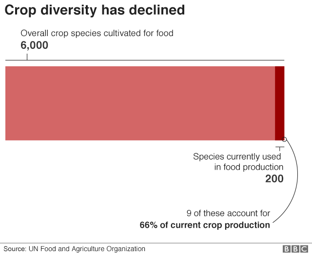 Chart showing declining crop diversity