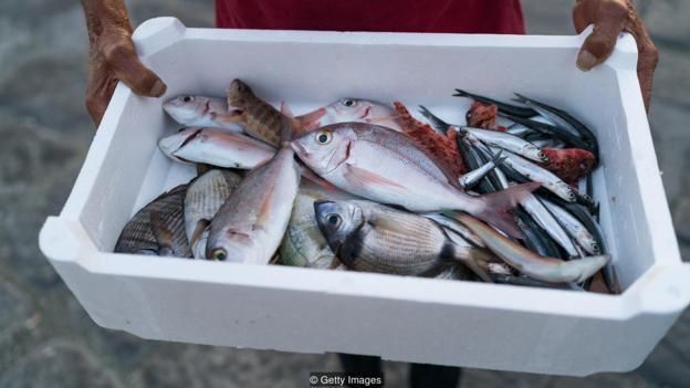 sampah, plastik, makanan laut, seafood, ikan