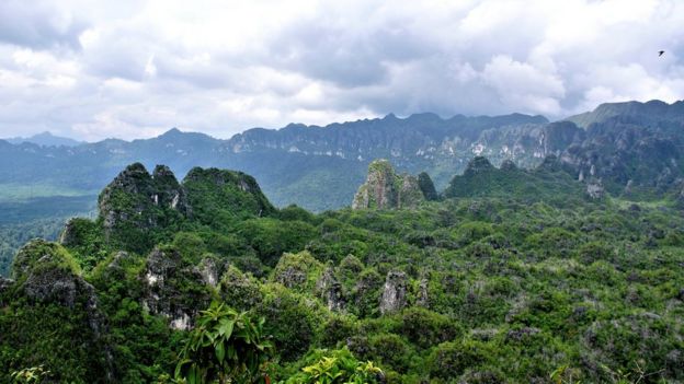 'Lukisan binatang tertua' di dunia ditemukan dalam gua di Kalimantan