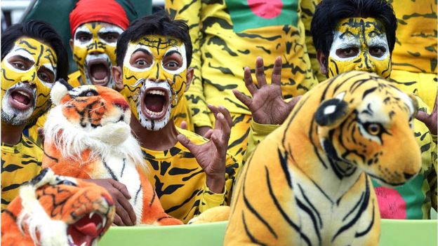 Tigers Fans - Bangladesh National Team