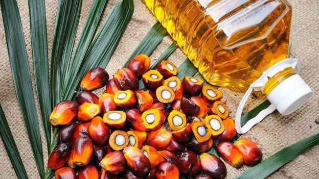 இந்தியா - மலேசியா இடையேயான பாமாயில் வர்த்தகம்