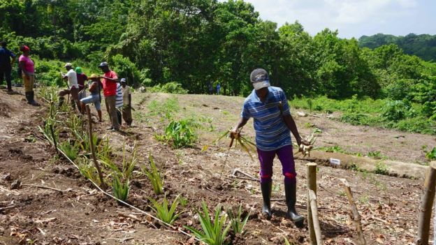 Battling for survival on the frontier of climate change - BBC News