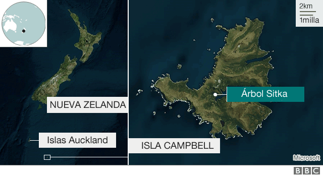 Mapa de la isla Campbell