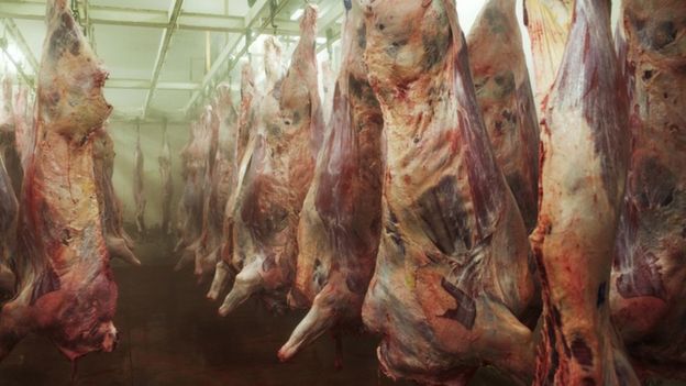 Carnes penduradas em frigor&iacute;fico