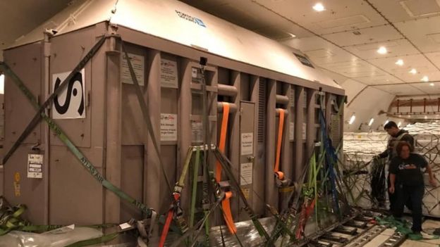 Caixa em que Ramba foi transportada dentro do avião
