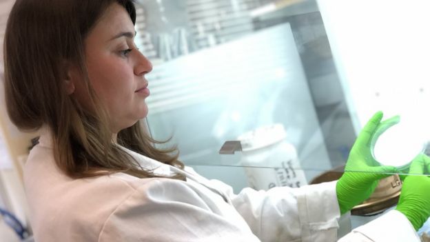 Daniella Hodgson in the lab at Royal Holloway, University of London