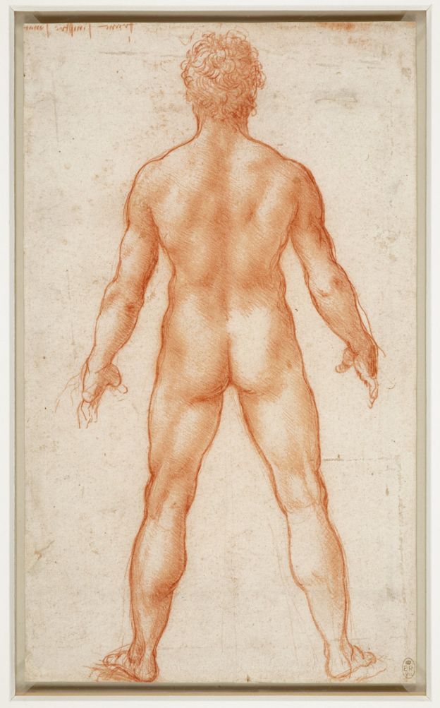 A standing male nude