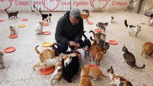 Feeding time at the sanctuary