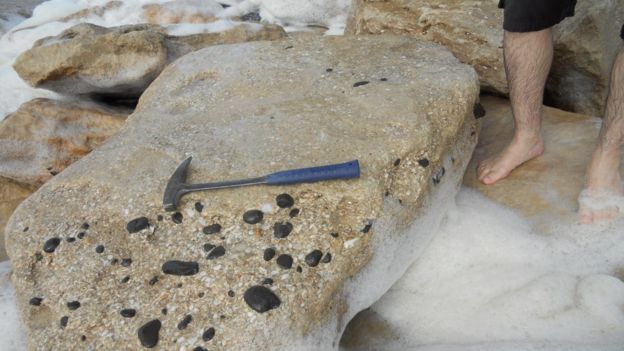 Aspecto de uma das variedades do beachrock, com abundantes conchas de moluscos e seixos de diabásio