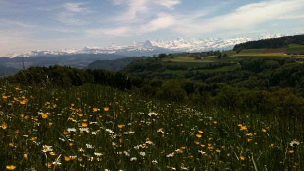 Imagen de archivo de los Alpes suizos.