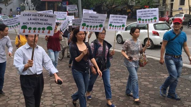 Có ý kiến cho rằng phong trào ủng hộ cây ở Hà Nội năm 2015 mở đầu cho các phong trào xã hội trên mạng