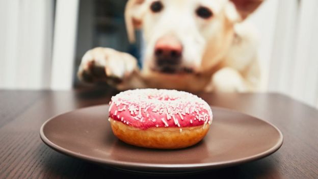 உடல்பருமன்