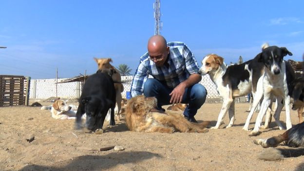 عبدالرحمن يوسف الناشط في مجال حقوق الحيوان