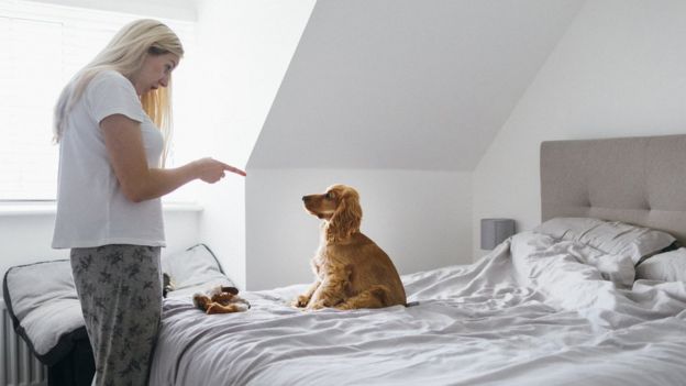 Woman wagging finger at dog