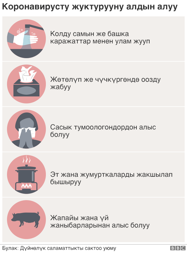 вирус