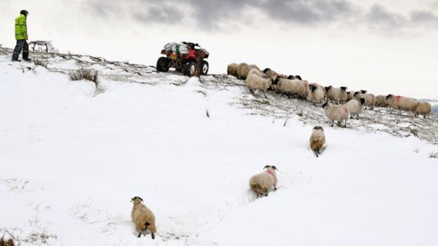 Biofuel sparks hundreds of farmer machinery repair complaints