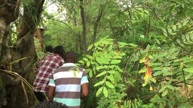 Winding village paths in the foothills of the Rwenzori mountains