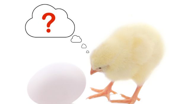 Pollito junto a un huevo y un signo de interrogación