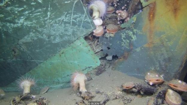 Um naufrágio no fundo do Golfo do México