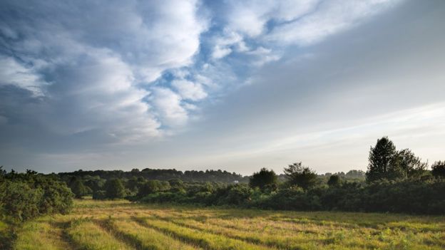 Ашдаунский лес