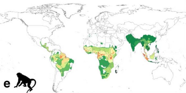 Mapa de riesgo por primates