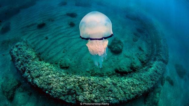 Pada hari yang tenang, pengunjung bisa melihat sisa-sisa kota Romawi kuno dibawah laut Tyrrhenian.