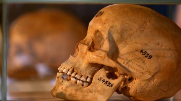 Germany Returns Skulls Of Namibian Genocide Victims Bbc News - 