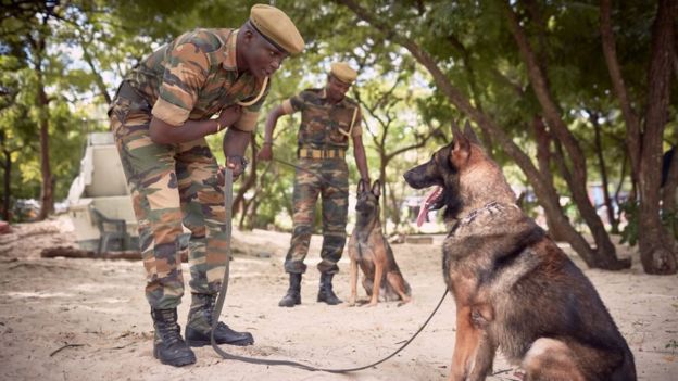 Ernest Taylor (center), of Africa Guard (South Africa dog training company), during a training session for sniffer dogs and their handlers at the Kenya Wildlife Service (Marine Park) offices. Mombasa sea port, Kenya.