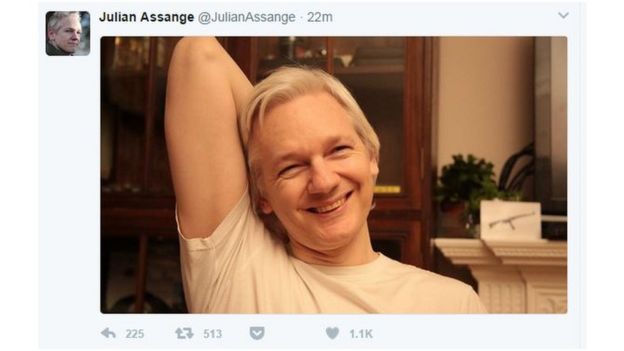 Assange twitter