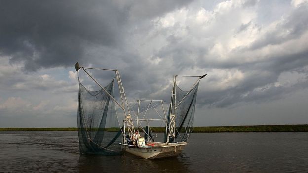 Pescador no Golfo de México