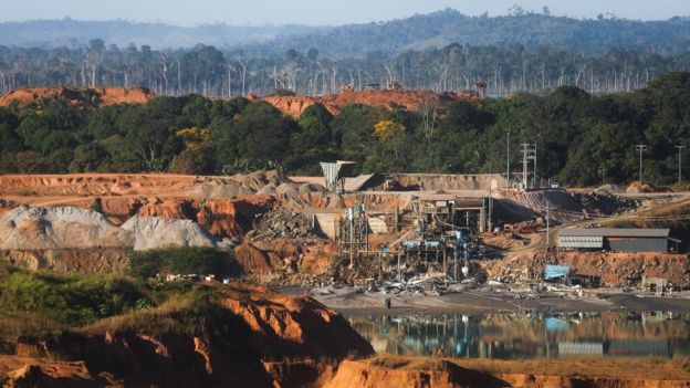 Вырубка в бассейне Амазонки ведет к изменению климата. Всемирный банк дал Бразилии денег на высадку 70 млн деревьев