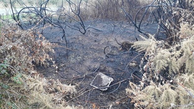 Malvern Hills: Barbecue fire fears at 'tinder dry' beauty spot - BBC News