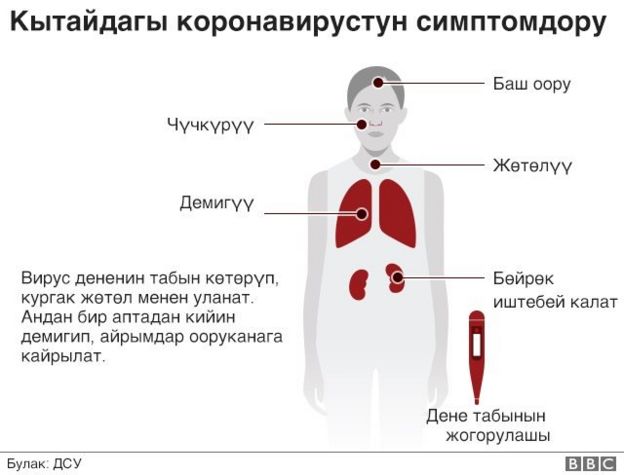 Коронавирус