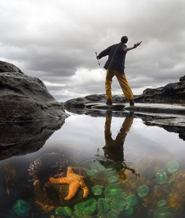 Poça de maré com estrela e homem jogando uma estrela no mar