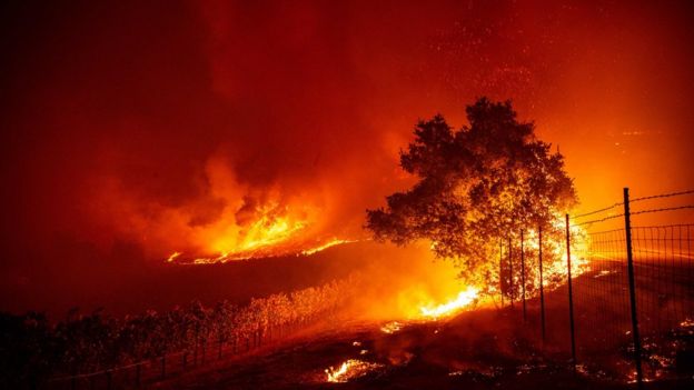 A fire at a vineyard near Geyserville