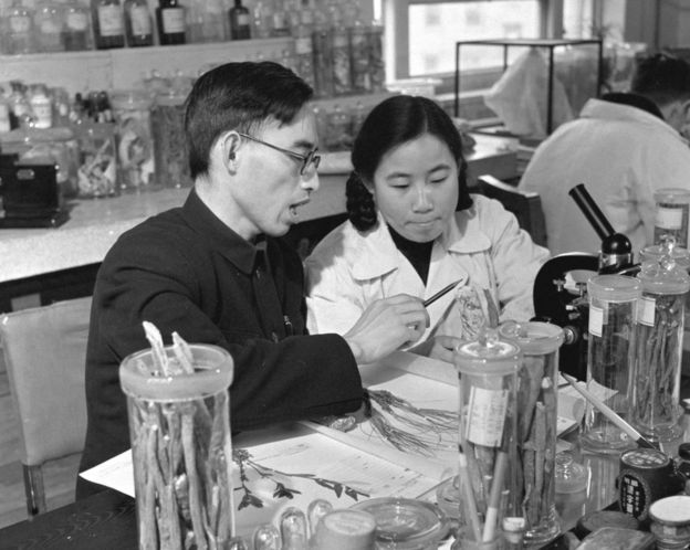 This photo taken in the 1950s and released by Xinhua News Agency on Monday 5 October 2015 shows Tu Youyou, right, a pharmacologist with the China Academy of Chinese Medical Sciences in Beijing, working with Professor Lou Zhicen to study traditional Chinese medicine