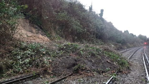 Fallen tree and landslip at Halling