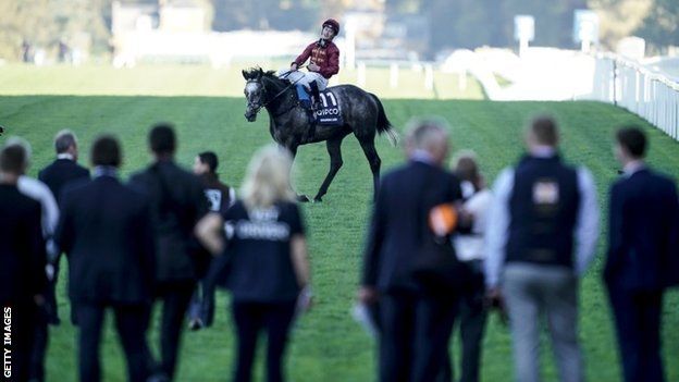 Cartier awards horse discount racing