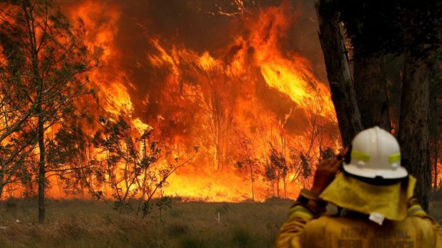 A NSW firefighter looks at flames raging in Old Bar