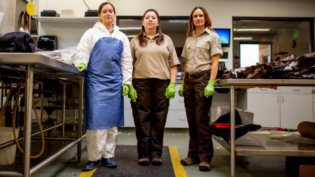 Laura Mallory, Liza Roman y Sarah Metzer usan guantes brillantes mientras están parados en el laboratorio