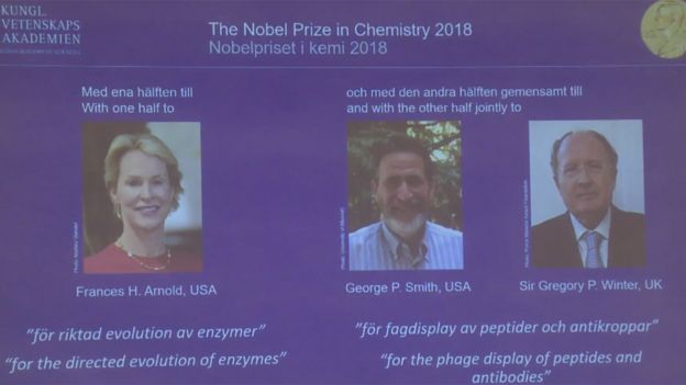 Tres científicos ganan Nobel de Química por aplicar la teoría de Darwin _103685268_nobelquimica1