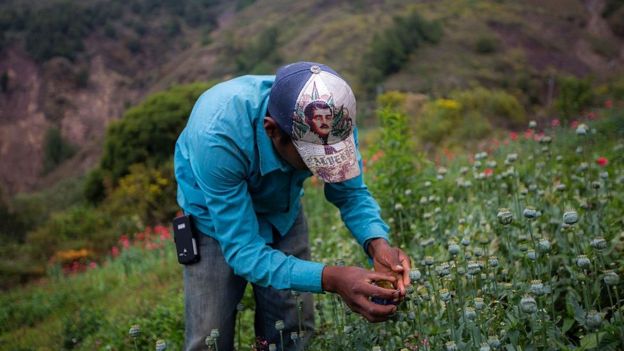 Un campesino en México.