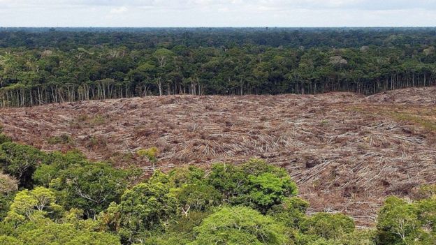 Desmatamento da Amazônia, em foto de arquivo