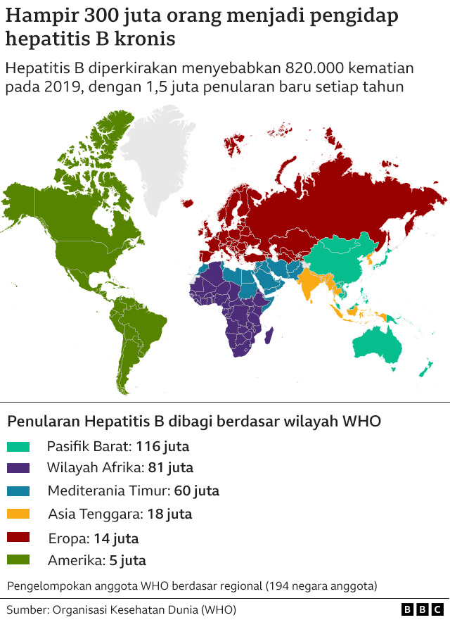 Hari Hepatitis Sedunia: Perjuangan Pasien Hepatitis B Melawan Stigma ...