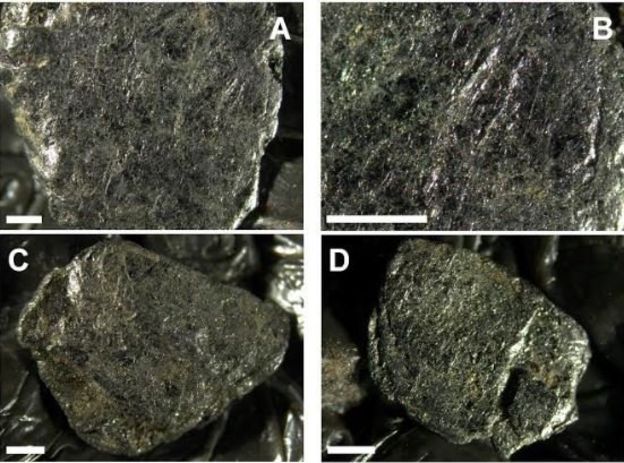 இலங்கையில் 48,000 வருடங்களுக்கு முன்னர் மிருகங்களின் எலும்புகளில் ஆயுதங்களை செய்த ஆதிமனிதர்கள்