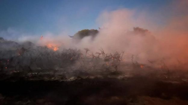 Jersey Fire Service Asks Residents For Help Over Wildfires - BBC News